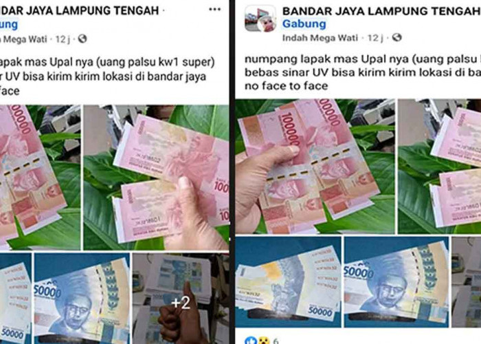 Waspada! Sepanjang 2023 Sudah 287 Situs Penjual Upal Diblokir 