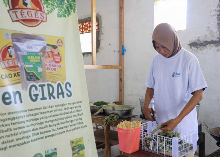 BRI Peduli Perkuat UMKM Desa Brilian Hargobinangun, Dorong Usaha Lokal Naik Kelas