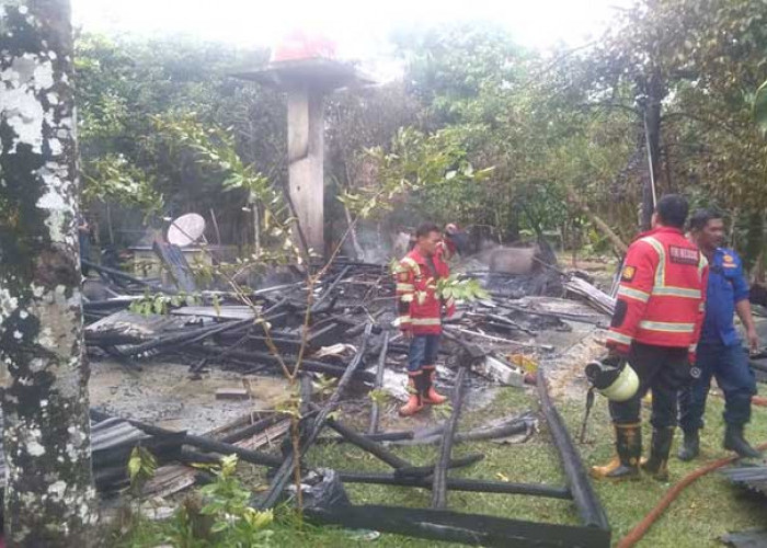 Gara-gara Mengusir Tawon, Gudang Khoirul di Desa Dukong Ludes Terbakar 