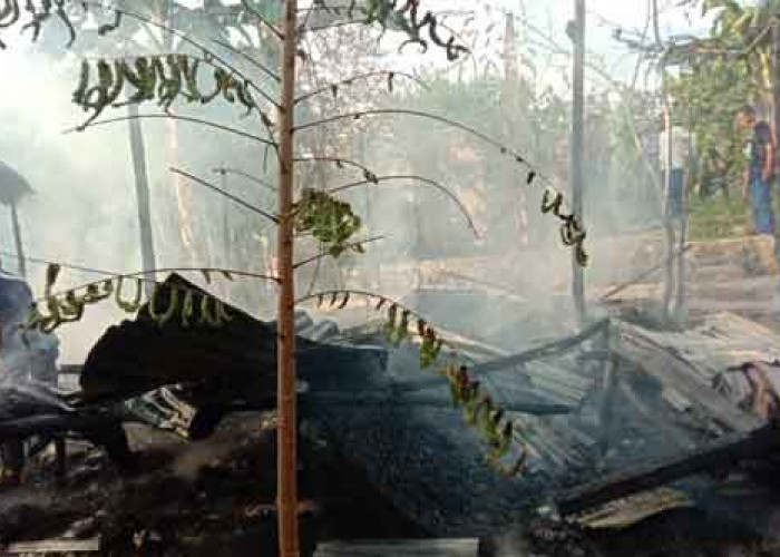 Penyebab Rumah Panggung di Tanjungpandan Terbakar Terungkap, Tini Rugi Ratusan Juta