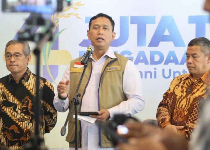 Rekor Pengadaan Beras BULOG 2026 Pecah, Lampaui Capaian Tertinggi Sejak 2012