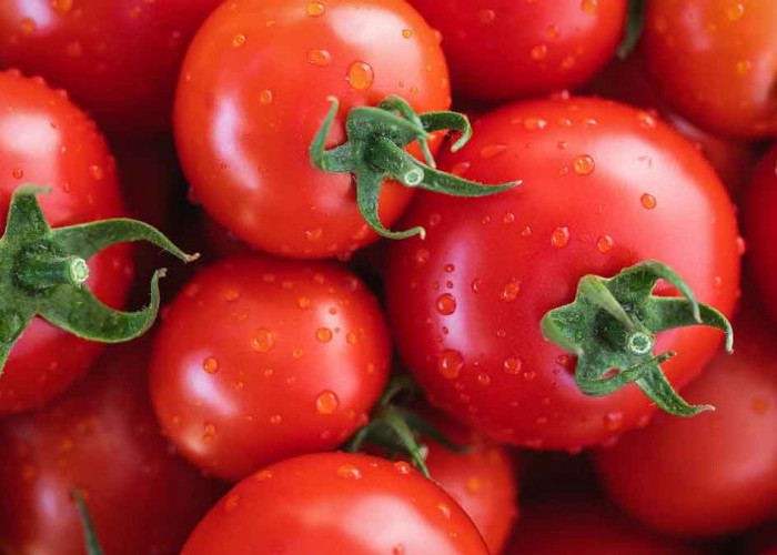 Penelitian Terbaru: Mengapa Konsumsi Tomat Dianjurkan untuk Menurunkan Risiko Hipertensi