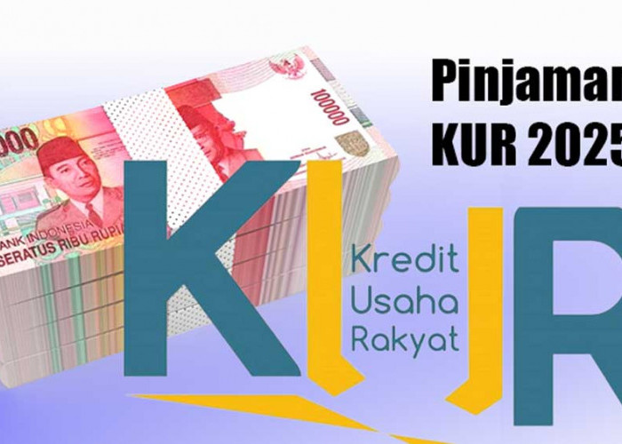 Pelaku UMKM Harus Tahu! Ini 4 Sektor Usaha Bisa Pinjam KUR 2025 Berulang Kali