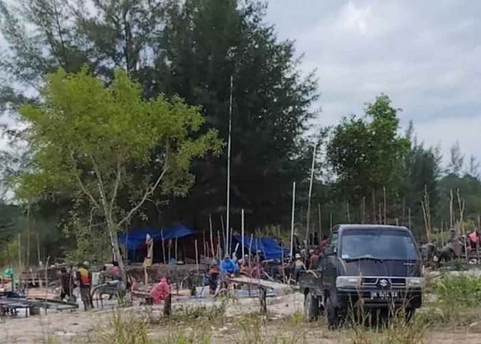 Penambang Timah Ilegal Serbu HLP Sungai Balai Sijuk, Diduga Dibekingi 6 Oknum Aparat