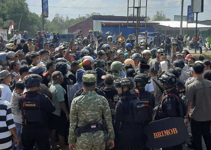 PT Timah Sikapi Demo Penambang Beltim, Minta Semua Pihak Jaga Kondusivitas
