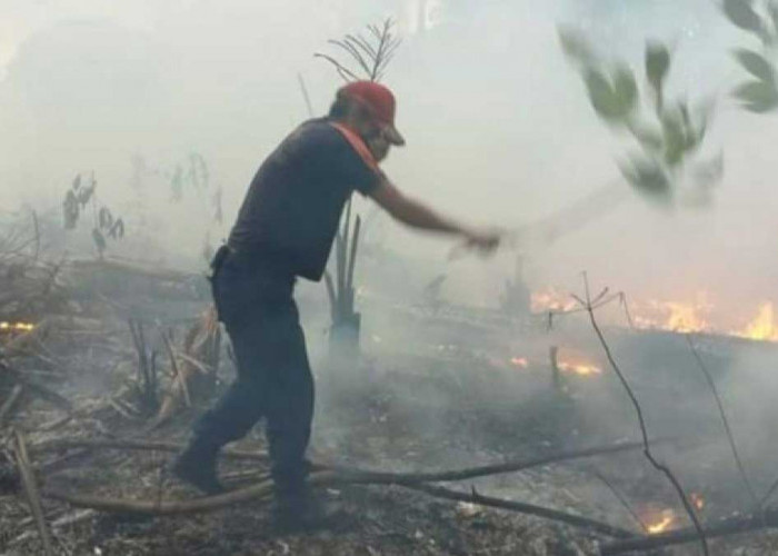 Kualitas Udara Belitung Mulai Menurun, Dampak Cuaca Ekstrem dan Karhutla