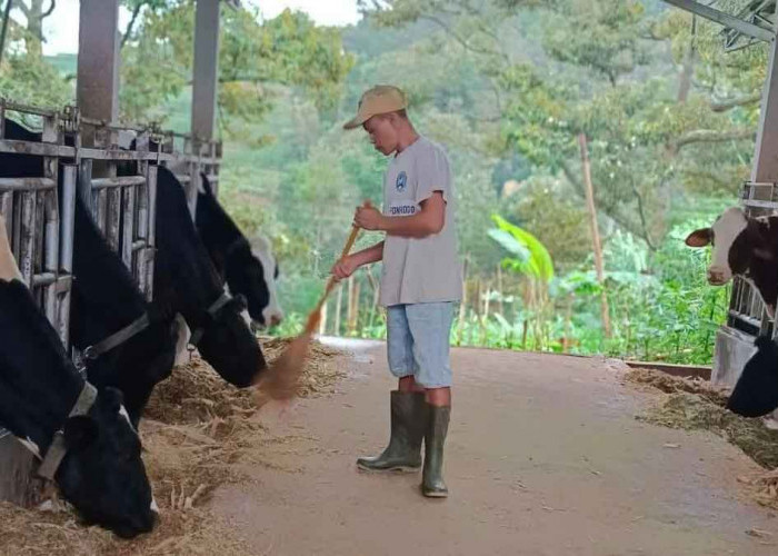 Didukung Pembiayaan & Transaksi BRI, Klaster Susu di Ponorogo Sukses Tingkatkan Kapasitas Produksi