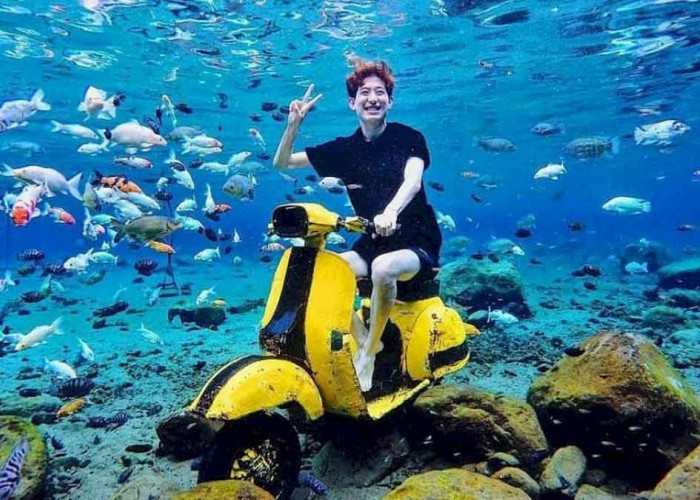 Fakta Menarik 7 Desa Terkaya di Indonesia: Dari Sukses Wisata hingga Kades Terjerat Hukum