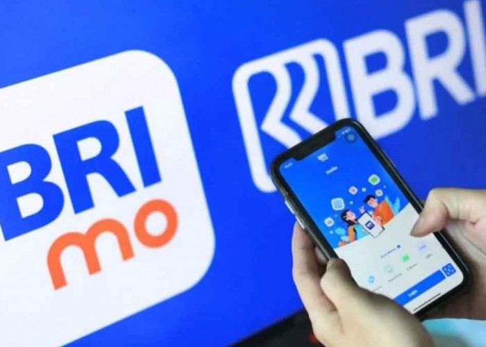Yanti Merasa Terbantu dengan BRImo, Transaksi Harian Jadi Lebih Mudah dan Cepat