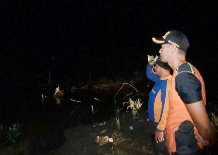 Tragis! Remaja Penambang Timah Diterkam Buaya Saat Bekerja di Aliran Sungai 