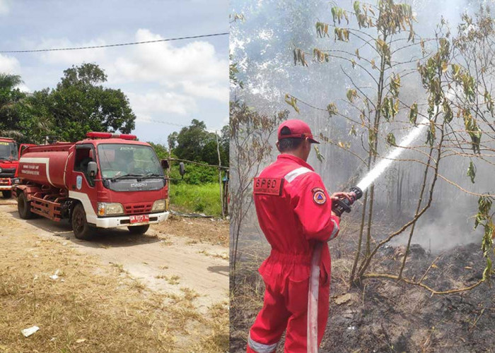 Belitung Dikepung Karhutla, 4 Kebakaran Lahan Terjadi Dalam Sehari