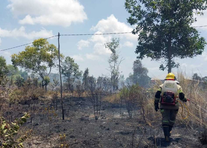 Karhutla di Belitung Timur Capai 233 Kejadian, Luas Lahan Terdampak 430 Hektare