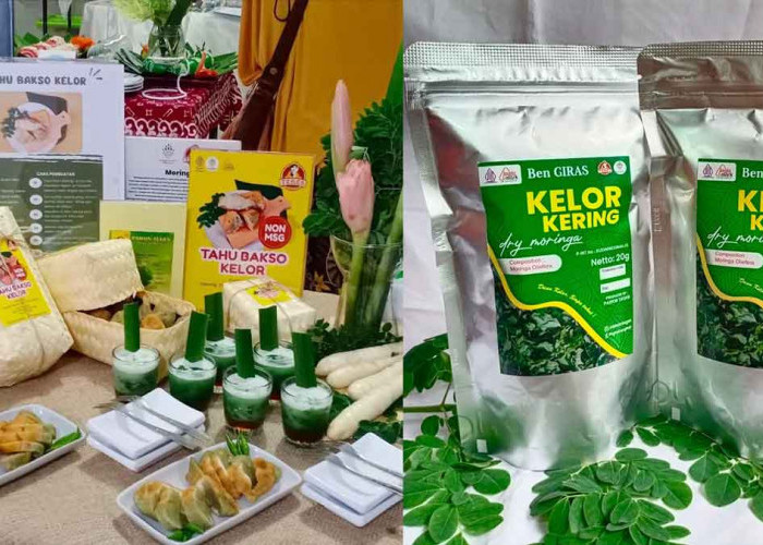 KUR BRI Jadi Kunci Sukses Pengusaha Wanita Sleman Olah Kelor Jadi Produk Pangan Unggulan