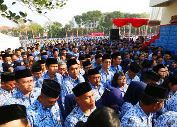 1,1 Juta Honorer Pernah Jadi PNS Tanpa Tes, PPPK Kini Tuntut Perlakuan Serupa