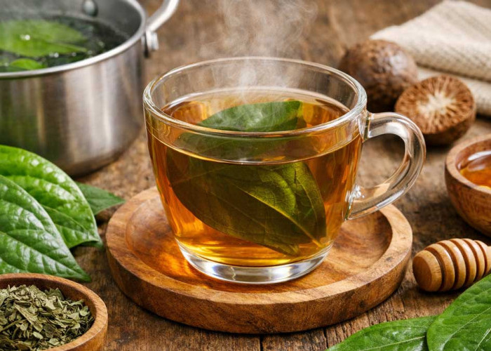 Air Rebusan Daun Sirih Banyak Manfaatnya, Ini 7 Khasiat Utama