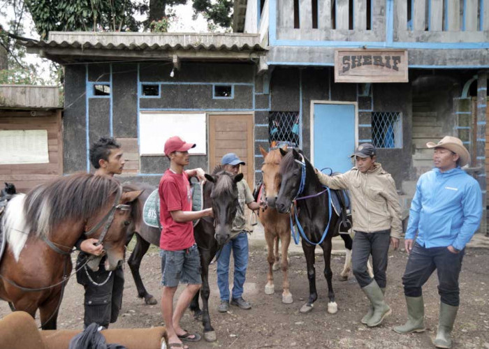 Kampung Koboi Tugu Selatan, Bukti Transformasi Desa Berbasis Potensi Lokal Lewat Desa BRILiaN BRI