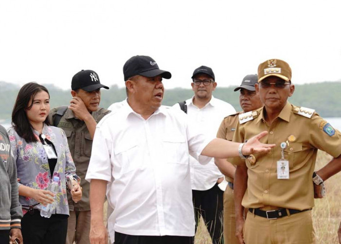 Selat Nasik Berpeluang Jadi Sentra Kelapa, Gubernur Babel Lirik Potensi Pabrik dan Dermaga