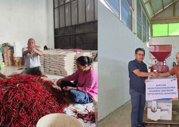 Perkuat Ketahanan Pangan, BRI Salurkan Pembiayaan KUR ke Koperasi Penyuplai Program Makan Bergizi Gratis