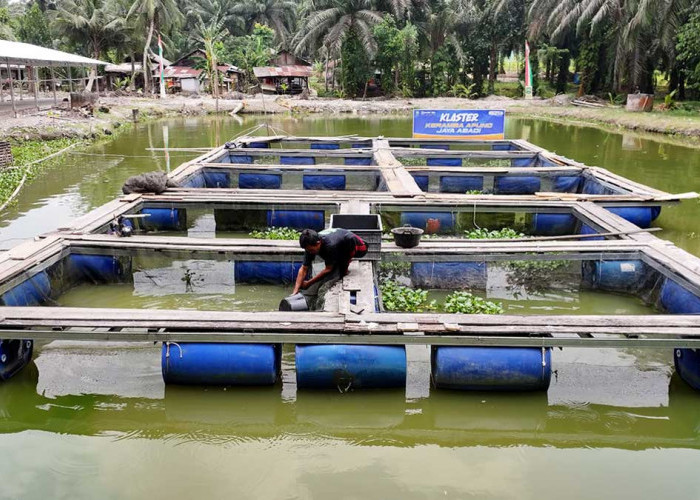 Desa Empang Baru Makin Bergeliat, Pemberdayaan BRI Dorong Ekonomi Warga