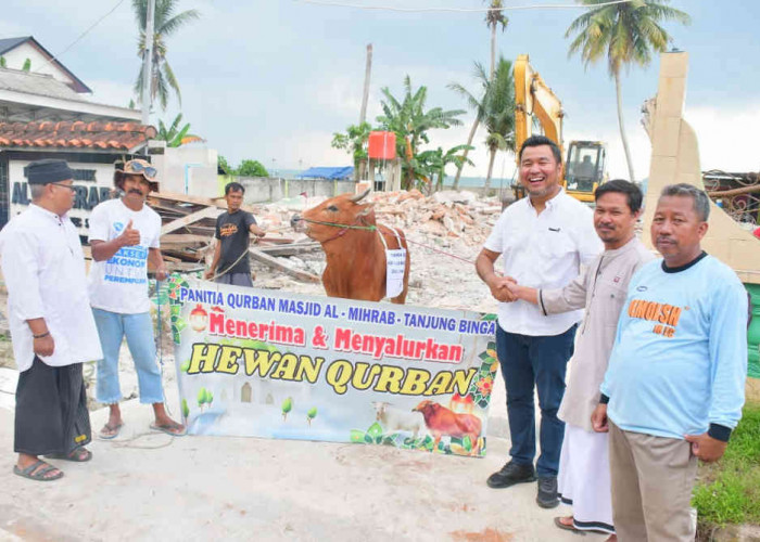 KEK Tanjung Kelayang Belitung Sumbang  2 Sapi Kurban untuk Warga Desa Sekitar
