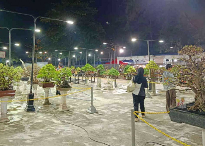 170 Bonsai Hiasi Belitung Expo 2026, PPBI Kenalkan Keindahan Tanaman Lokal ke Masyarakat