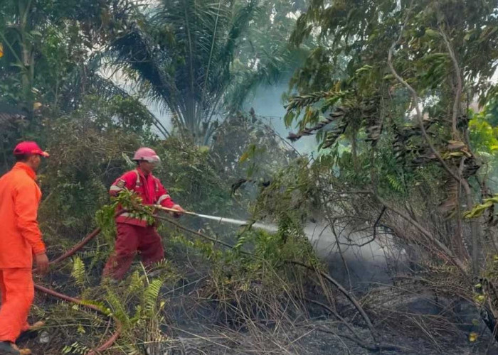 Karhutla 2026 Mengintai, Masyarakat Belitung Diimbau Waspada di Tengah Cuaca Panas