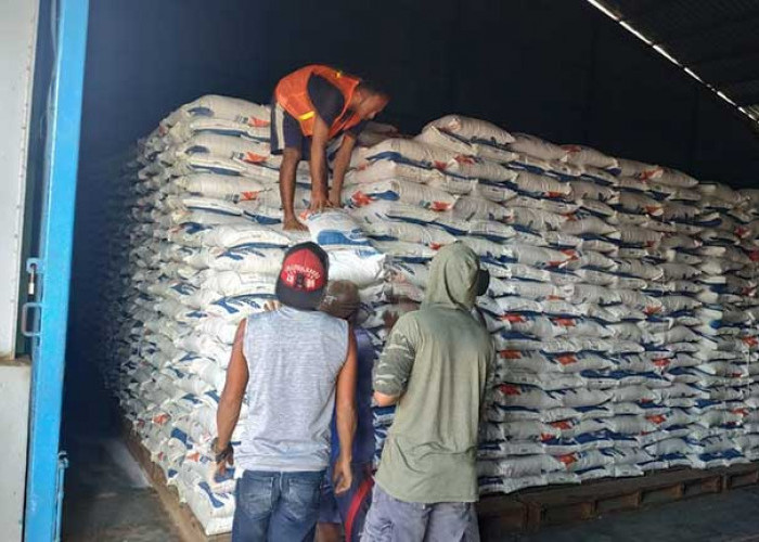 Stok Beras di Bulog Belitung Aman, Cukup 2 Bulan Kedepan