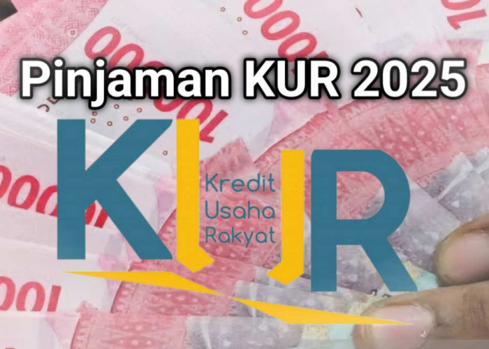 Peluang Besar! Dana KUR 2025 Baru Terserap 7,05%, Ini Sektor yang Mendominasi