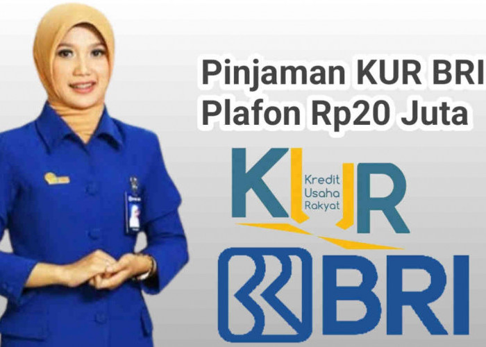 KUR BRI Rp20 Juta 3 Hari Cair Angsuran Super Ringan, Berikut 2 Cara Pengajuan Pinjaman