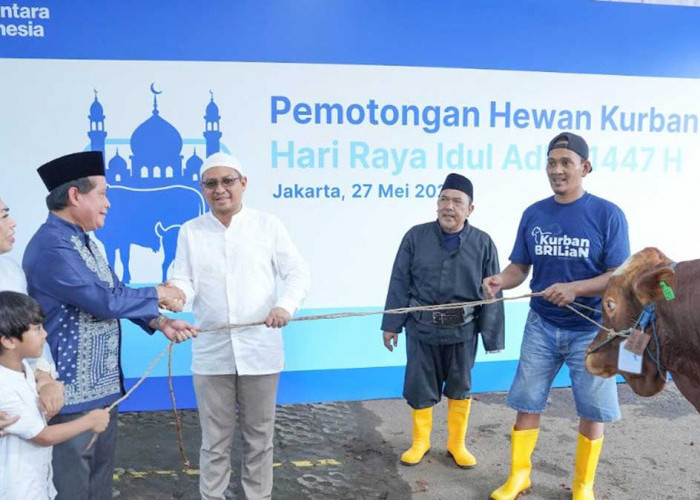 BRI Group Salurkan Lebih dari 5.000 Hewan Kurban Idul Adha 2026, Jangkau Berbagai Daerah di Indonesia