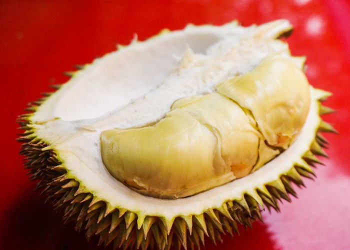 Makanan dan Minuman yang Sebaiknya Tidak Dikonsumsi Bareng Durian, Ini Resikonya