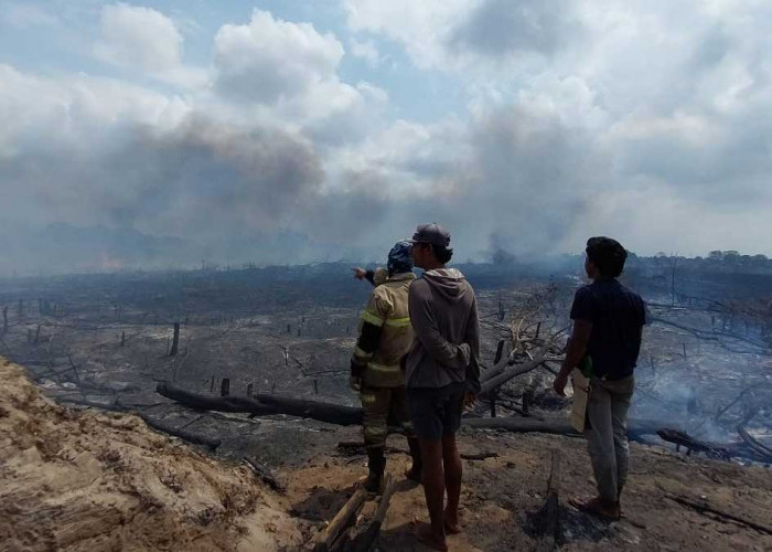 Kabut Asap Masuk Beltim, DLH Ingatkan Korporasi dan Masyarakat Jangan Bakar Lahan