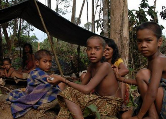 Mengenal Lebih Dekat Suku Anak Dalam, Suku Primitif Jambi yang Tinggal di Hutan Rimba