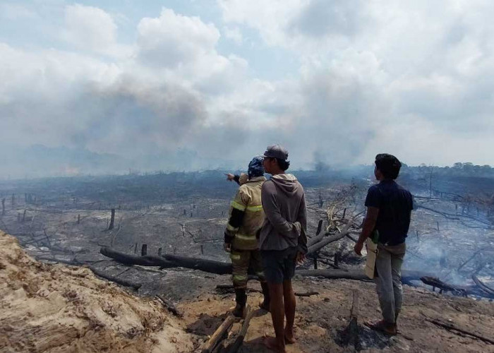 Kasus Karhutla Beltim 2026 Makin Parah, 284 Hektare Lahan Terbakar hingga Agustus 