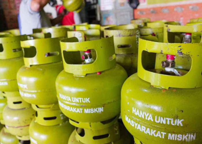 Tegas! Bupati Belitung Larang ASN Gunakan LPG 3 Kg Bersubsidi, Apa Sanksinya?