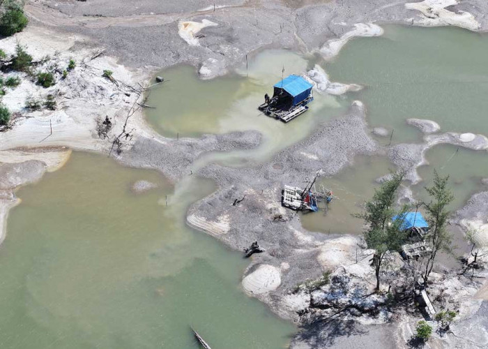 PT Timah Boleh Beli Timah Rakyat Belitung, AMPEBE Minta Asal Tambang Dipastikan Legal
