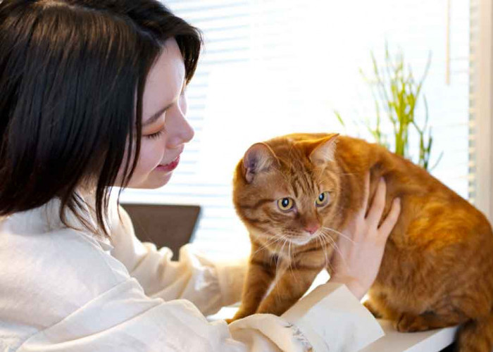 Bukti Ilmiah: 7 Manfaat Pelihara Kucing di Rumah Menurut Penelitian