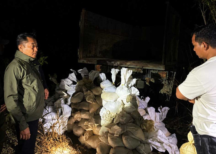Dugaan Penyelundupan Timah Belitung Digagalkan, 175 Karung Senilai Rp1,4 Miliar Diamankan