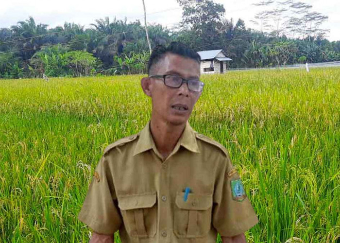 Kultur Tambang Tantangan Besar Ketahanan Pangan Beltim, Ini Langkah Optimalisasi Lahan Pertanian