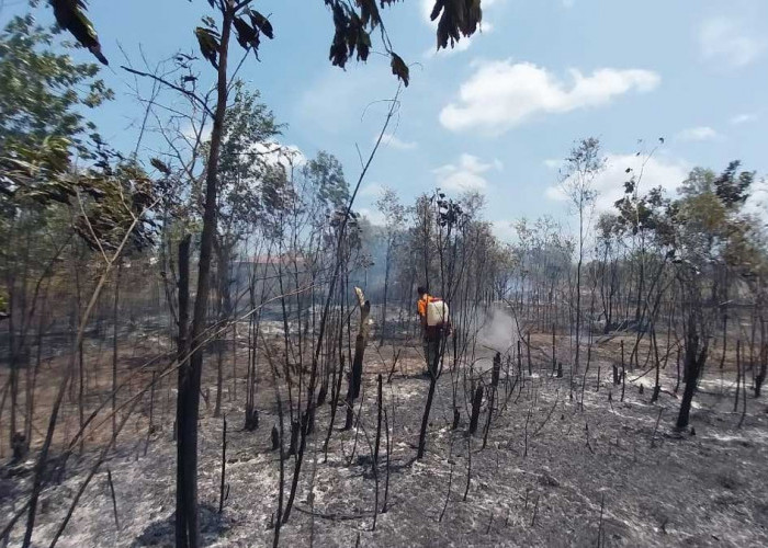 Karhutla Beltim Tembus 177 Kejadian, 328 Hektare Lahan Terbakar hingga Agustus 2026
