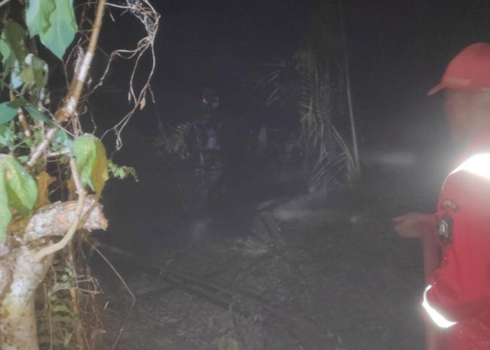 Kebakaran Hutan Dekat Villa Truntum Tanjung Kelayang Belitung, 1 Hektare Lahan Terbakar