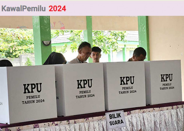 Cara Mengawal Suara Pemilu 2024 dengan KawalPemilu.org, Situs Real Count Cepat dan Akurat