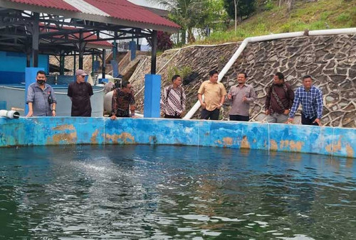 Usai Kunker ke BPBLB, Harianto Minta Pemprov Babel Tingkatkan Budidaya Ikan Laut