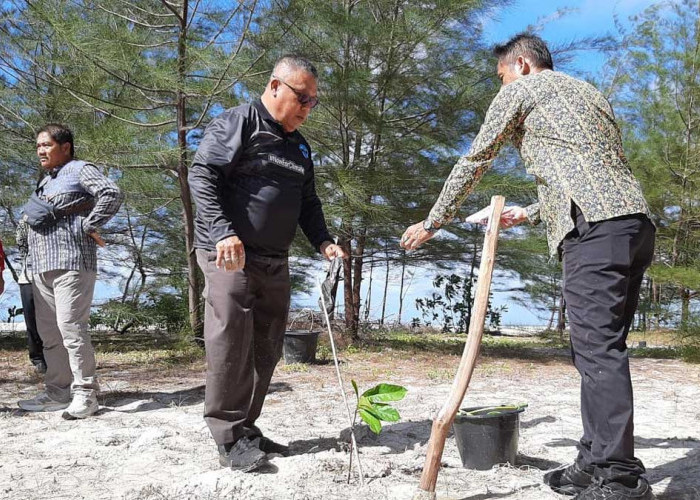 Hari Lingkungan Hidup 2026, Pemkab Beltim Tanam Pohon dan Bersihkan Pantai Nyiur Melambai