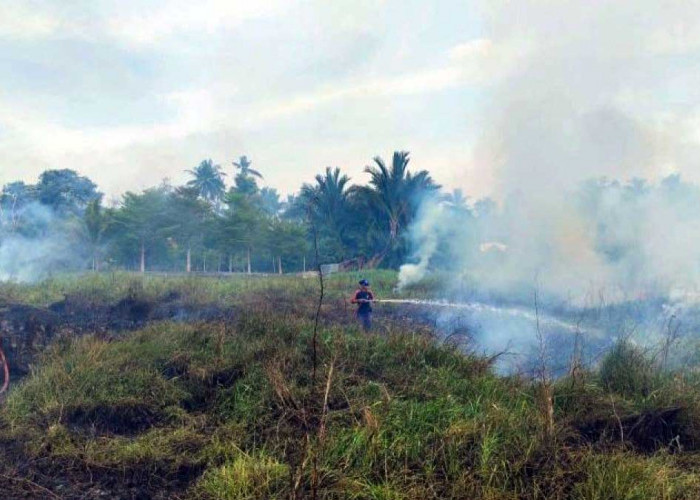 Lahan Terbakar di Jalan Air Bulo, BPBD Belitung Gerak Cepat Padamkan Api