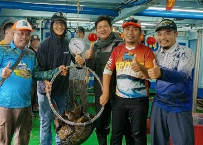 Ekspor 100 Ton Kerapu Hidup Belitung Mandek Sepanjang 2025, Ini Penyebabnya