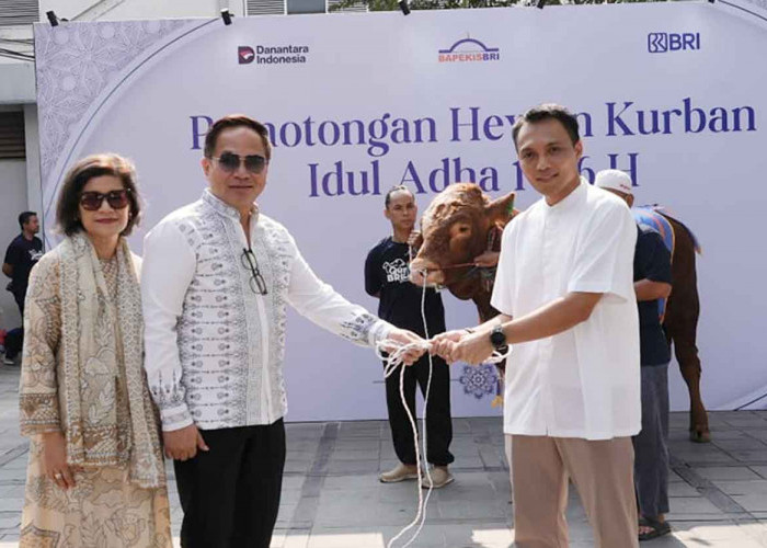 BRI Kurban 961 Hewan di Idul Adha 2025, Bukti Nyata Kepedulian Sosial
