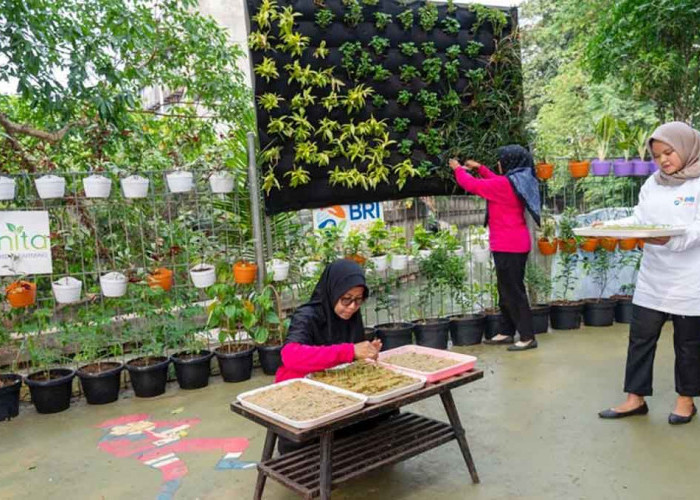 BRI Diakui Lewat Program BRInita, Bangun Urban Farming dan Berdayakan Perempuan