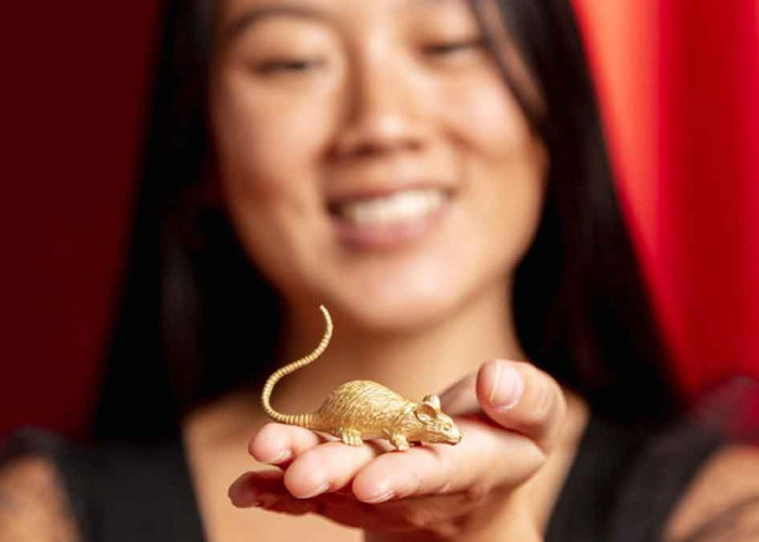 Ramalan Shio Tikus di Tahun Kuda Api 2026: Prediksi Karier, Keuangan, Hingga Asmara