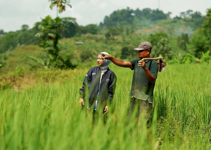 649 Ribu UMKM Sukses Dapat KUR BRI 2025, Pinjaman Rp100 Juta Tanpa Jaminan, Proses Cepat Cicilan Ringan